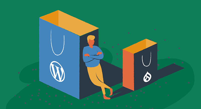 Bags with the WordPress and Drupal logos illustrate e-commerce differences.