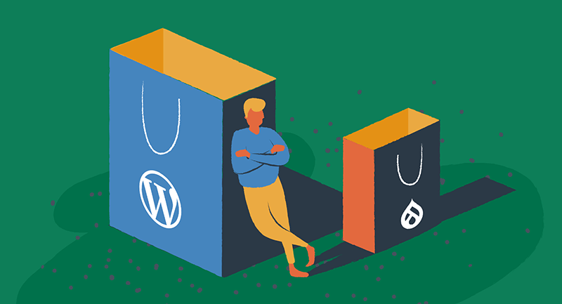 Drawing of man leaning on two WordPress shopping bags