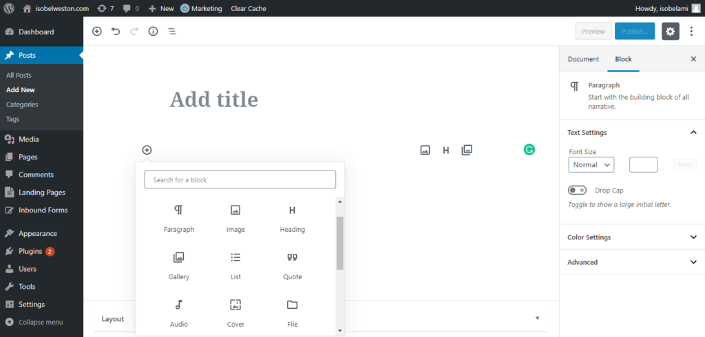 View of a new Post window in WordPress