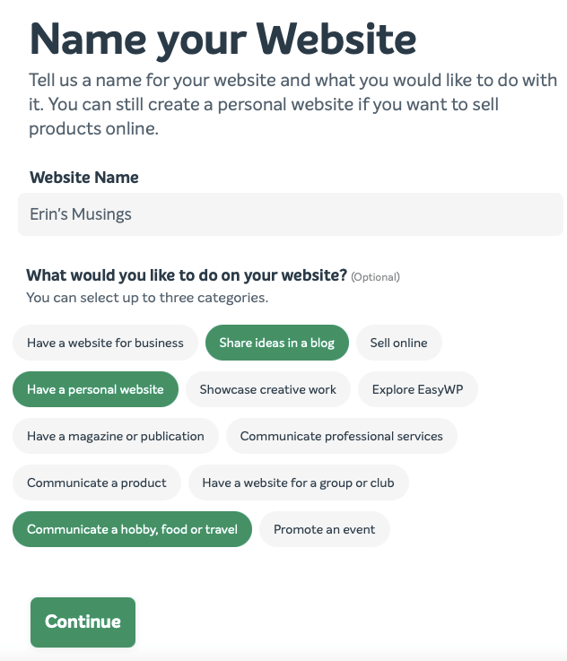 A completed version of the Name your Website tool