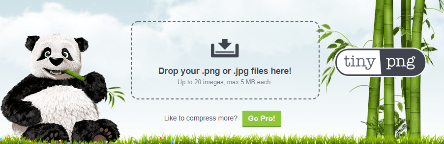 View of TinyPNG homepage