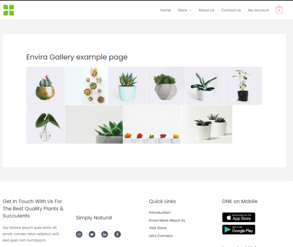 An example of a gallery in WordPress