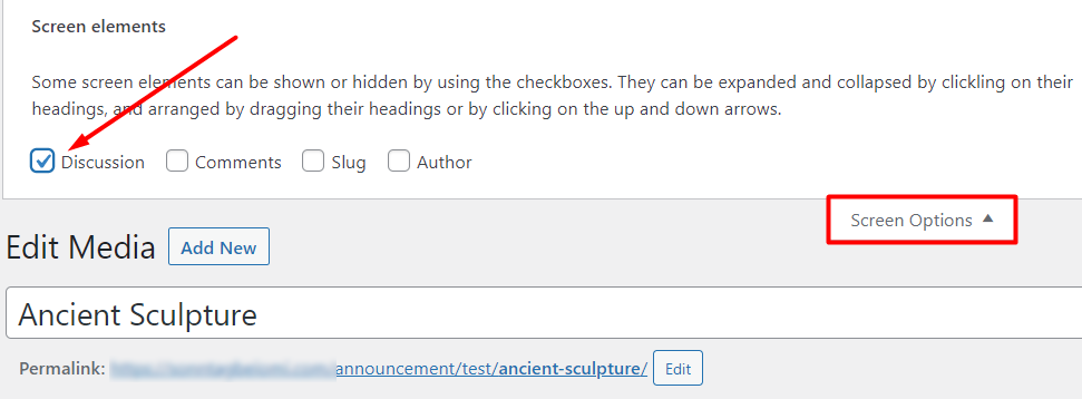 The Discussion screen element is indicated in WordPress
