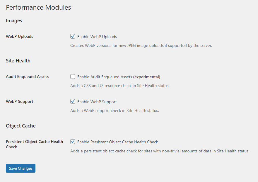 Screenshot from the Performance Lab settings in WordPress