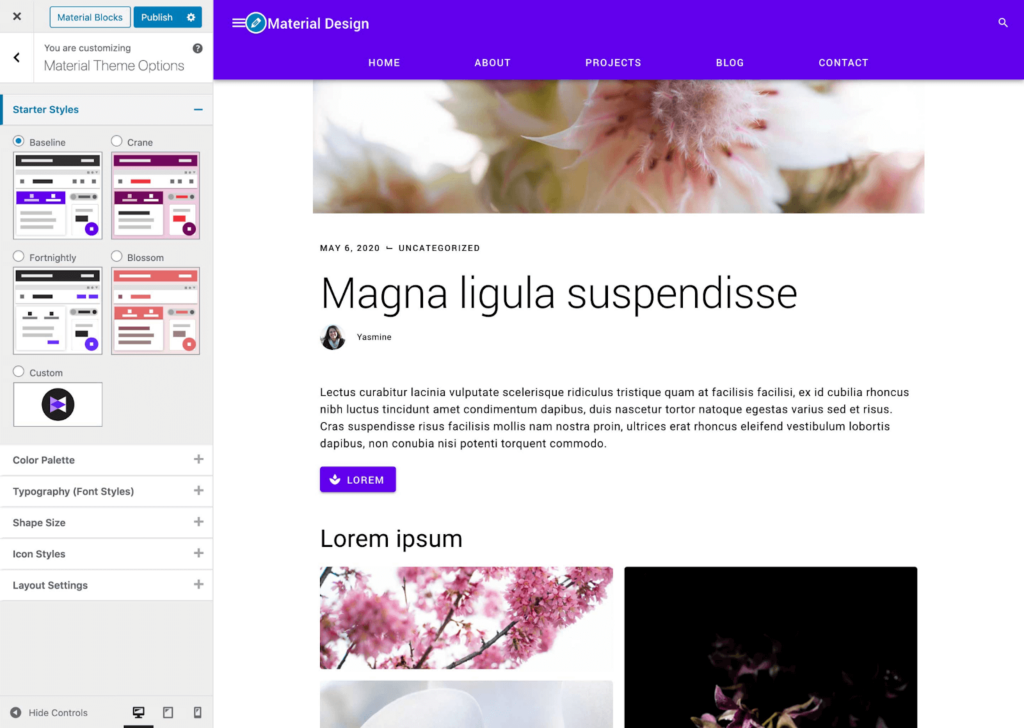 The custom design options inside Material Design plugin