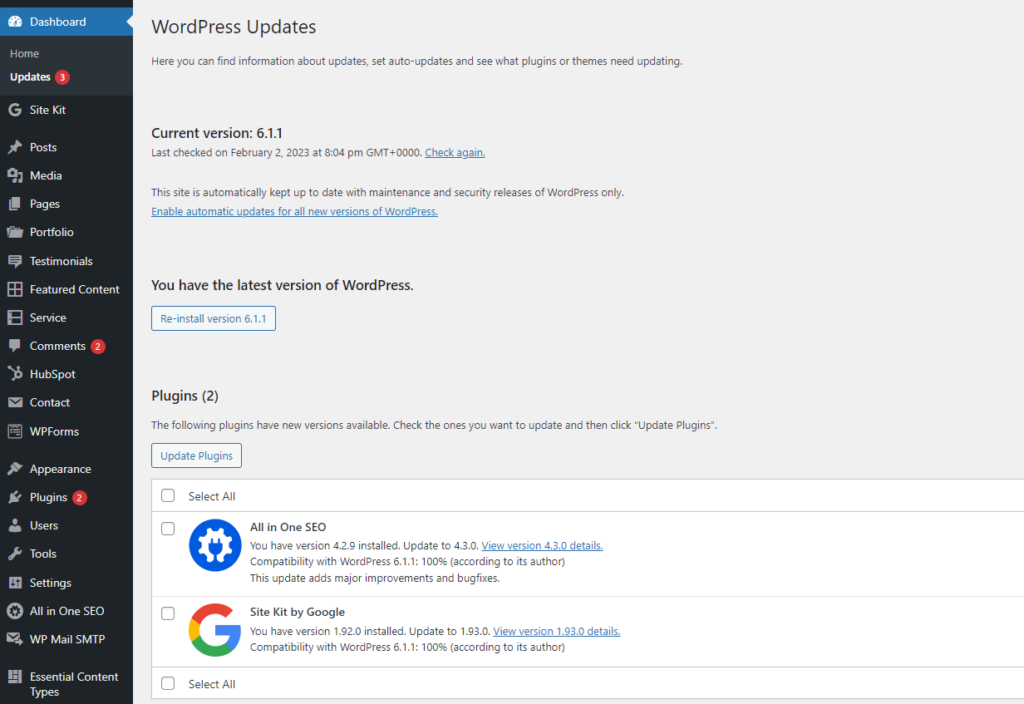 The WordPress updates dashboard
