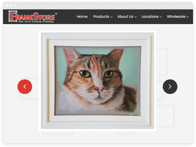 A house cat in a frame on a website. 