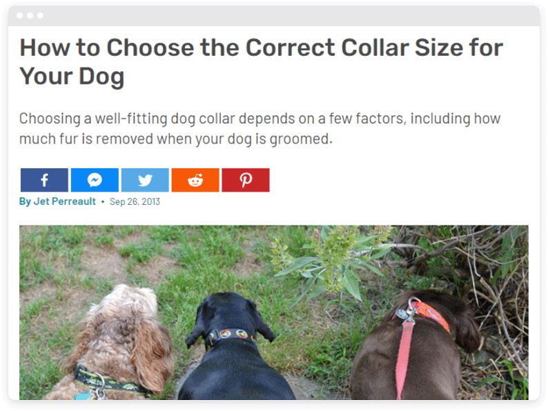 Screenshot from a blog post about collar size