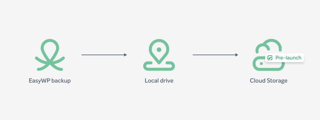 Icons represent WordPress backups during the pre-launch phase