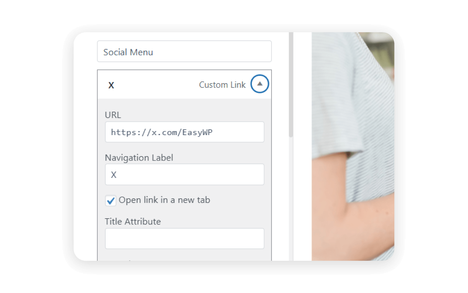 A custom link being added to a social menu in WordPress.