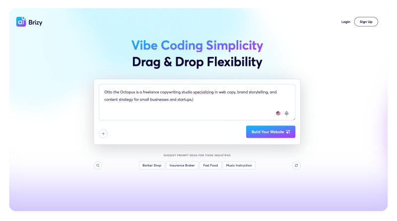 Step one in the Brizy setup process shows a chatbot field.